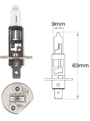 Genuine Philips H1 12v 55w Long Life Head Light & Fog Globe Ecco Vision - Single Bulb